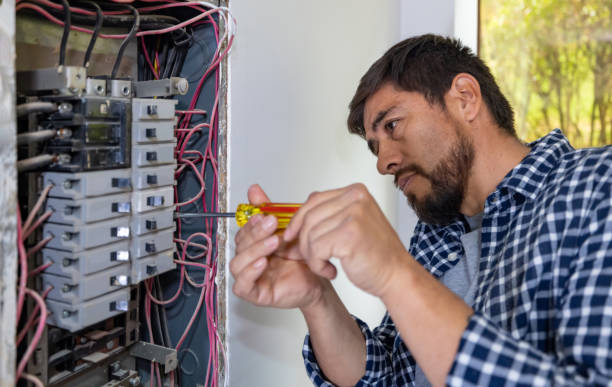 Best Home Electrical Repair  in Lawton, IA